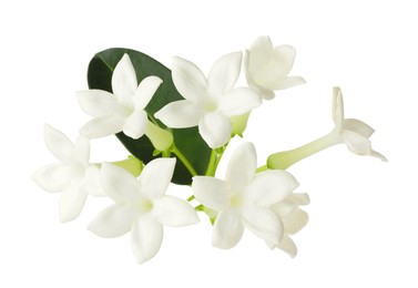 Photo of Beautiful aromatic jasmine flowers and leaves isolated on white