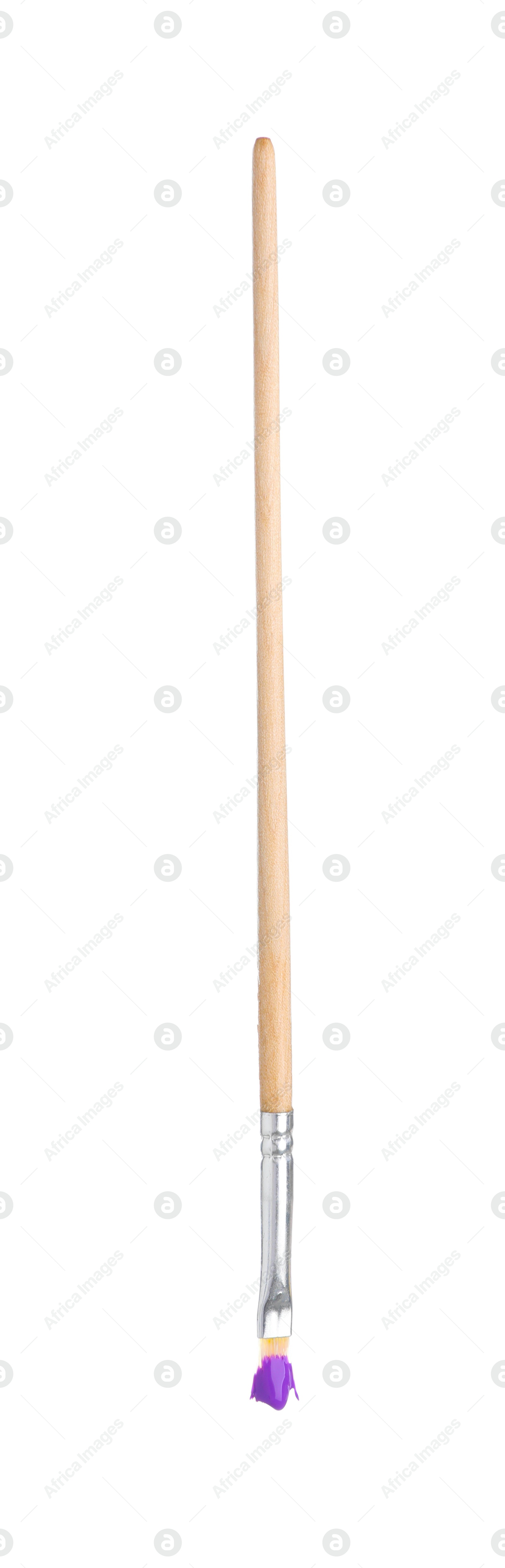 Brush with purple paint isolated on white Photo of Brush with purple paint isolated on white