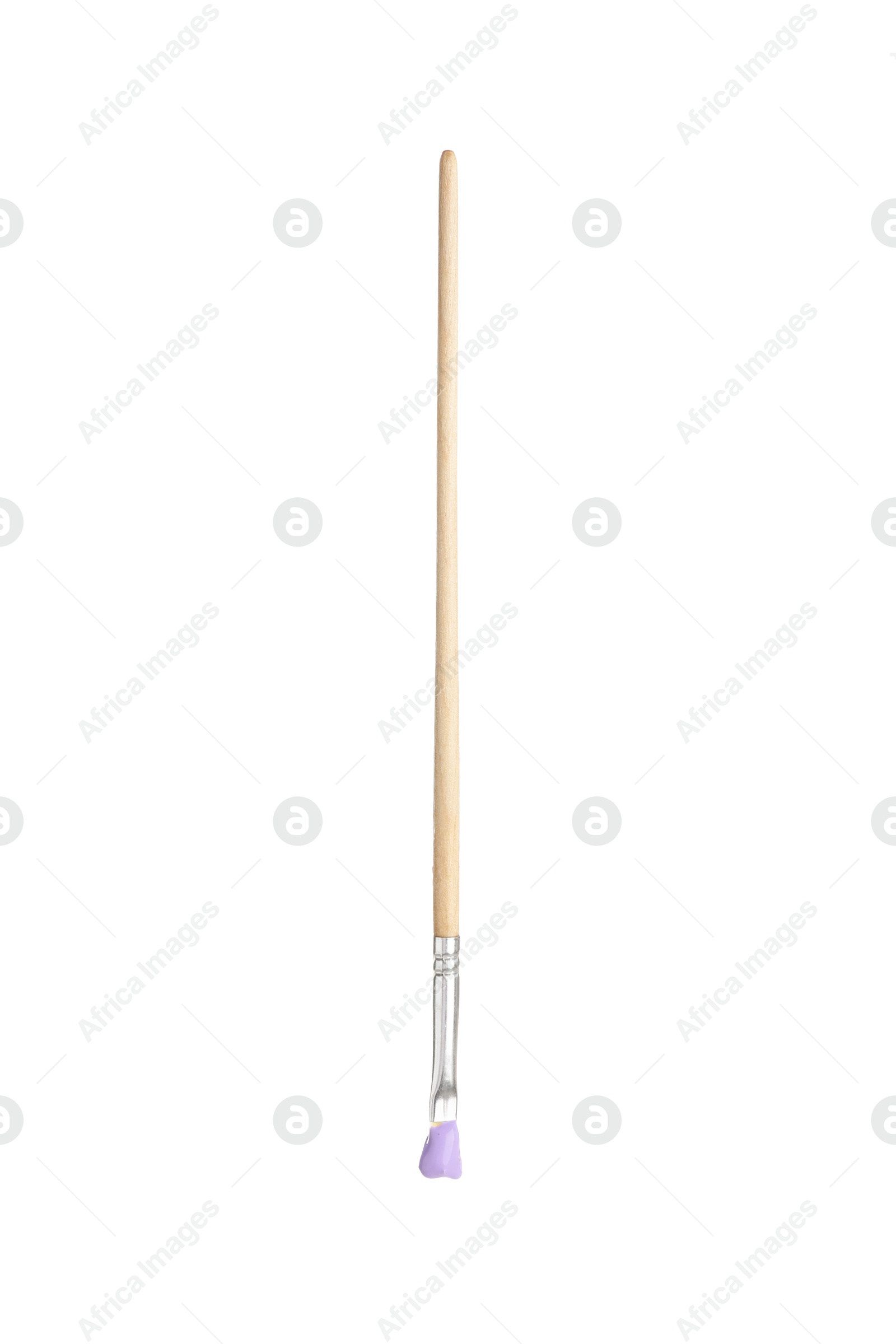 Brush with violet paint isolated on white Photo of Brush with violet paint isolated on white