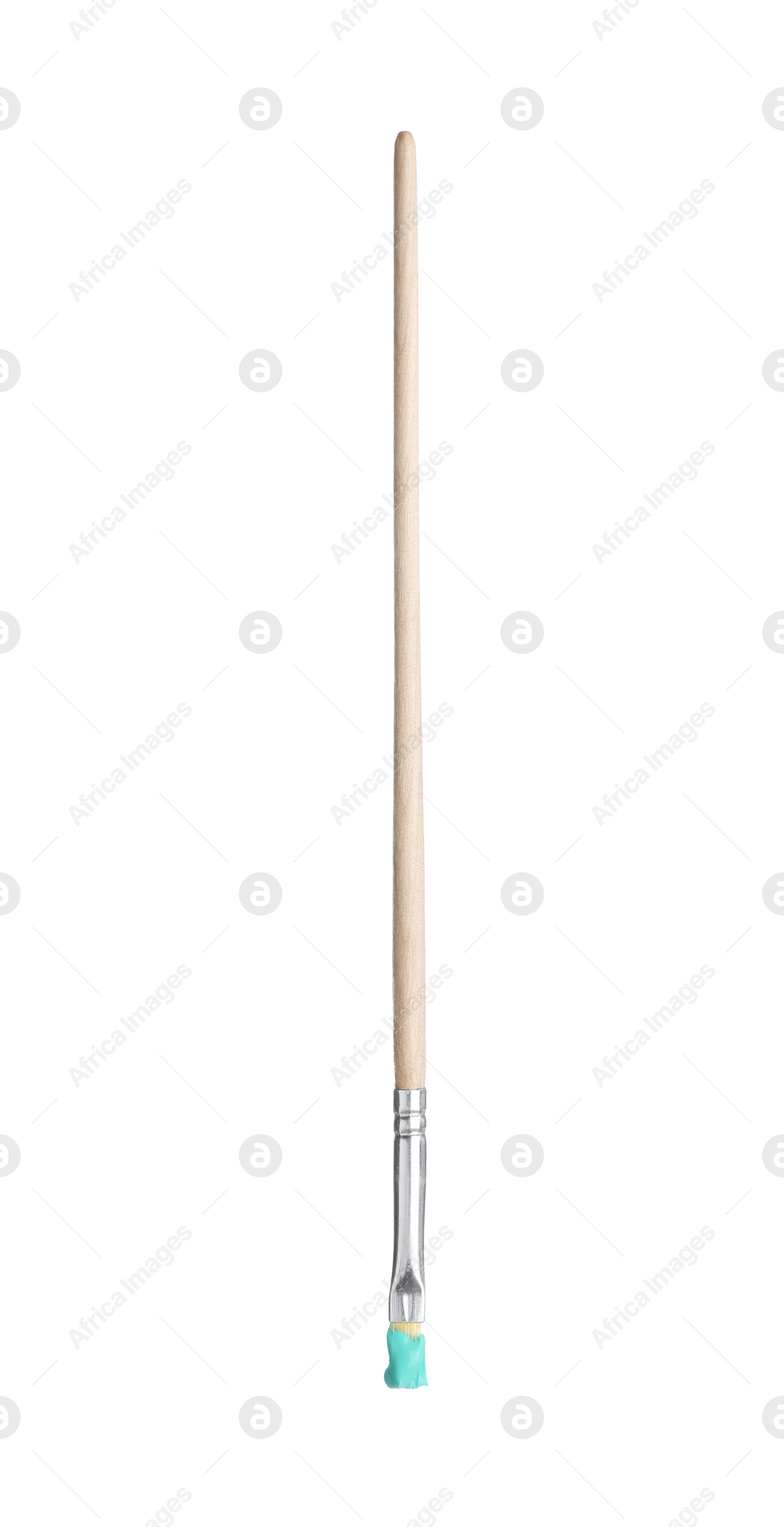 Brush with turquoise paint isolated on white Photo of Brush with turquoise paint isolated on white