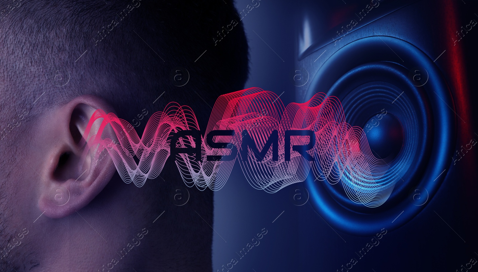 ASMR media (autonomous sensory meridian response). Sound waves coming out of speaker into man's ear Image of ASMR media (autonomous sensory meridian response). Sound waves coming out of speaker into man's ear