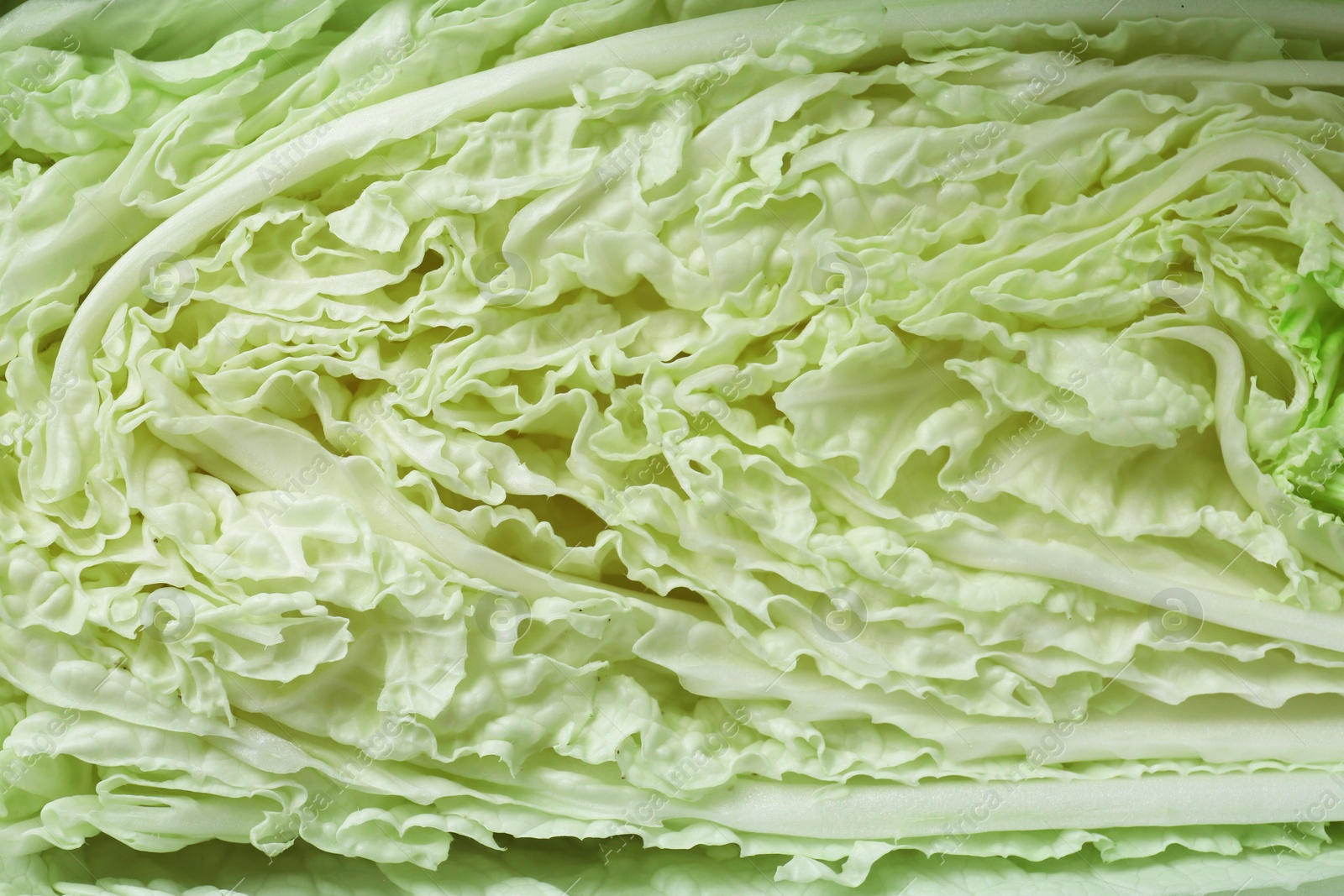 Fresh green Chinese cabbage as background, closeup Photo of Fresh green Chinese cabbage as background, closeup