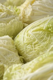 Photo of Many fresh Chinese cabbages as background, closeup