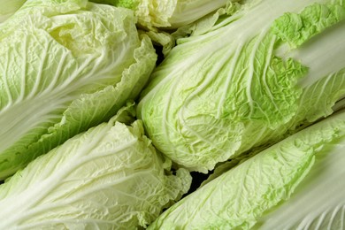 Photo of Fresh Chinese cabbages as background, top view