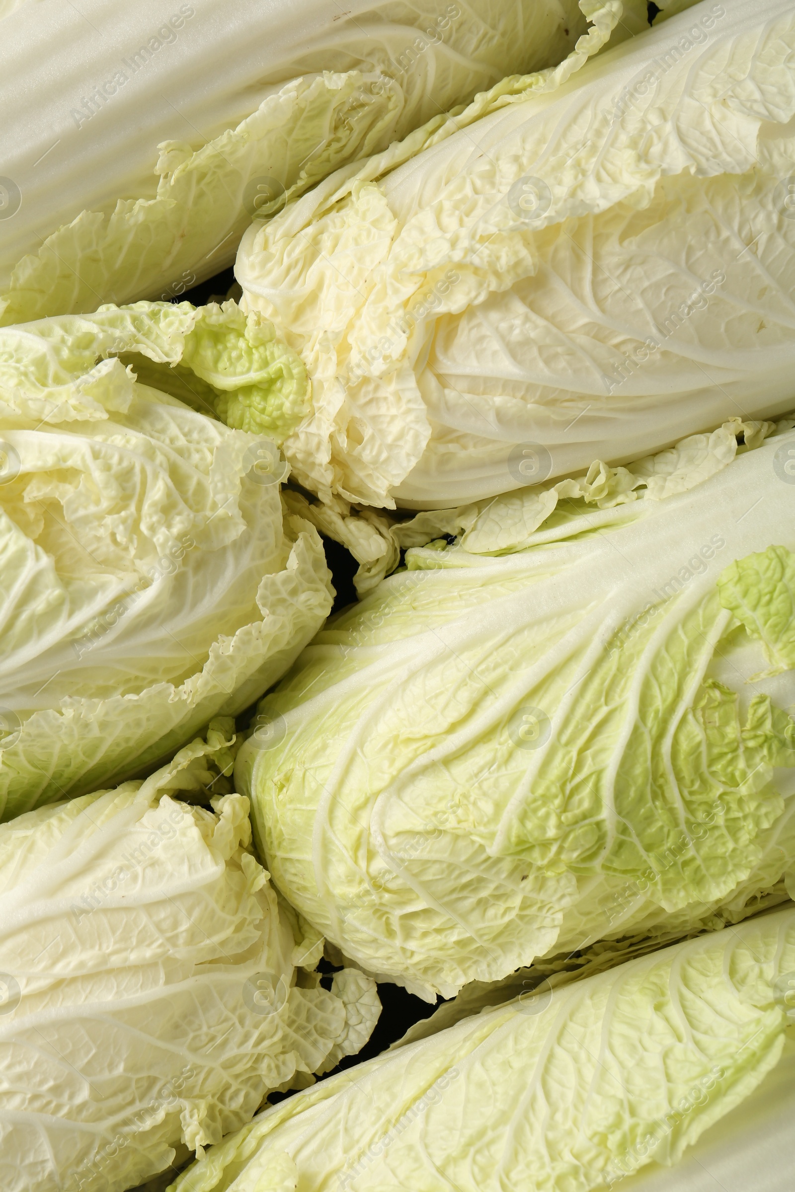 Fresh Chinese cabbages as background, top view Photo of Fresh Chinese cabbages as background, top view