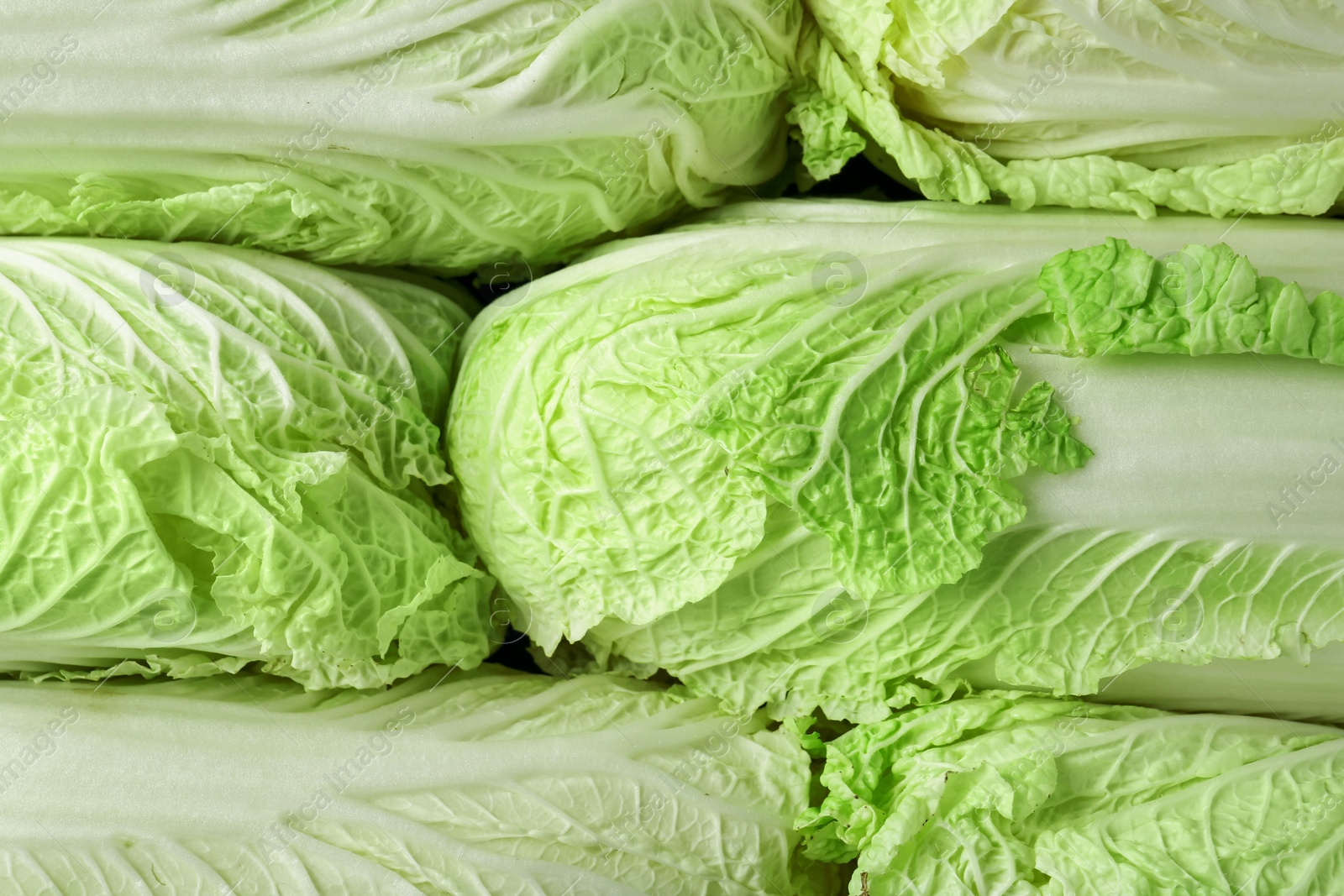 Fresh Chinese cabbages as background, top view Photo of Fresh Chinese cabbages as background, top view