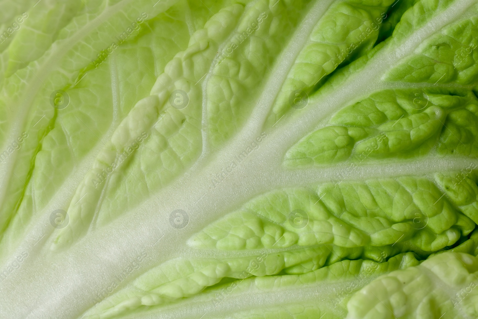 Leaf of fresh Chinese cabbage as background, top view Photo of Leaf of fresh Chinese cabbage as background, top view