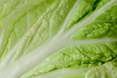Photo of Leaf of fresh Chinese cabbage as background, top view