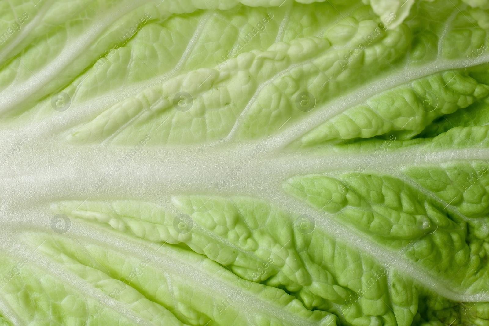 Leaf of fresh Chinese cabbage as background, top view Photo of Leaf of fresh Chinese cabbage as background, top view