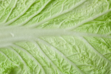Photo of Leaf of fresh Chinese cabbage as background, top view