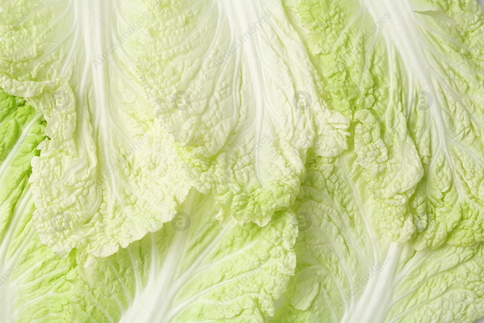 Leaves of fresh Chinese cabbage as background, top view Photo of Leaves of fresh Chinese cabbage as background, top view