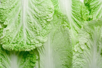 Photo of Leaves of fresh Chinese cabbage as background, top view