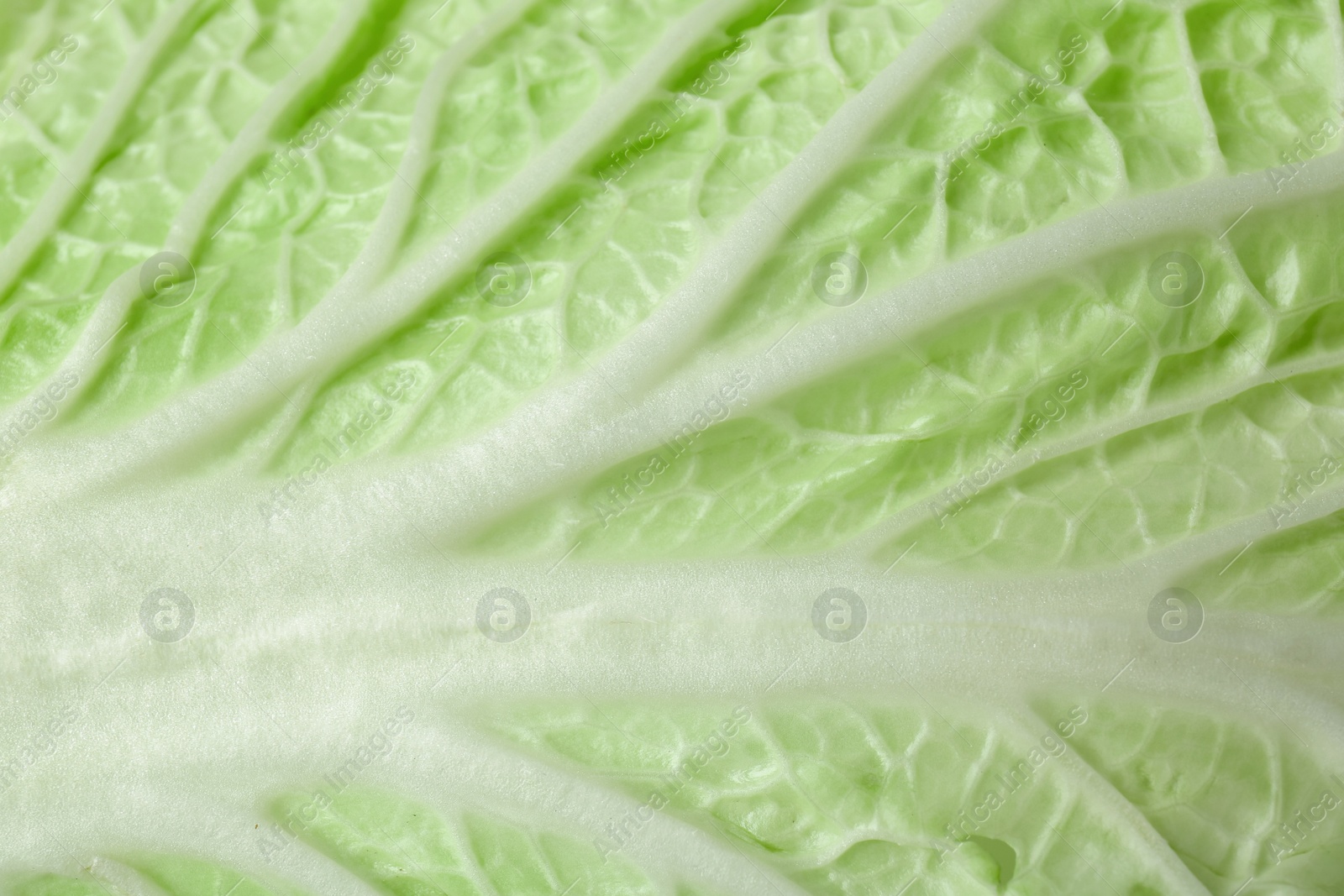 Leaf of fresh Chinese cabbage as background, top view Photo of Leaf of fresh Chinese cabbage as background, top view