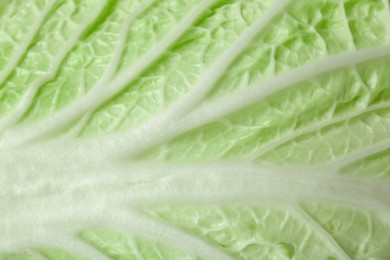 Photo of Leaf of fresh Chinese cabbage as background, top view