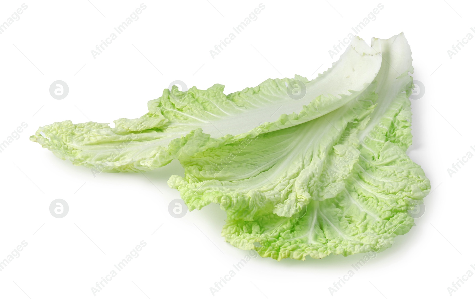 Leaves of fresh Chinese cabbage isolated on white Photo of Leaves of fresh Chinese cabbage isolated on white
