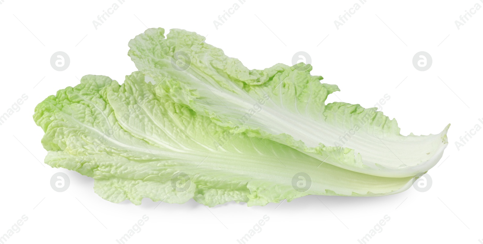 Leaves of fresh Chinese cabbage isolated on white Photo of Leaves of fresh Chinese cabbage isolated on white