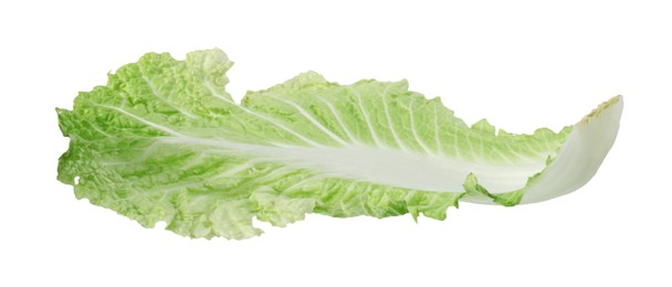 Photo of Leaf of fresh Chinese cabbage isolated on white