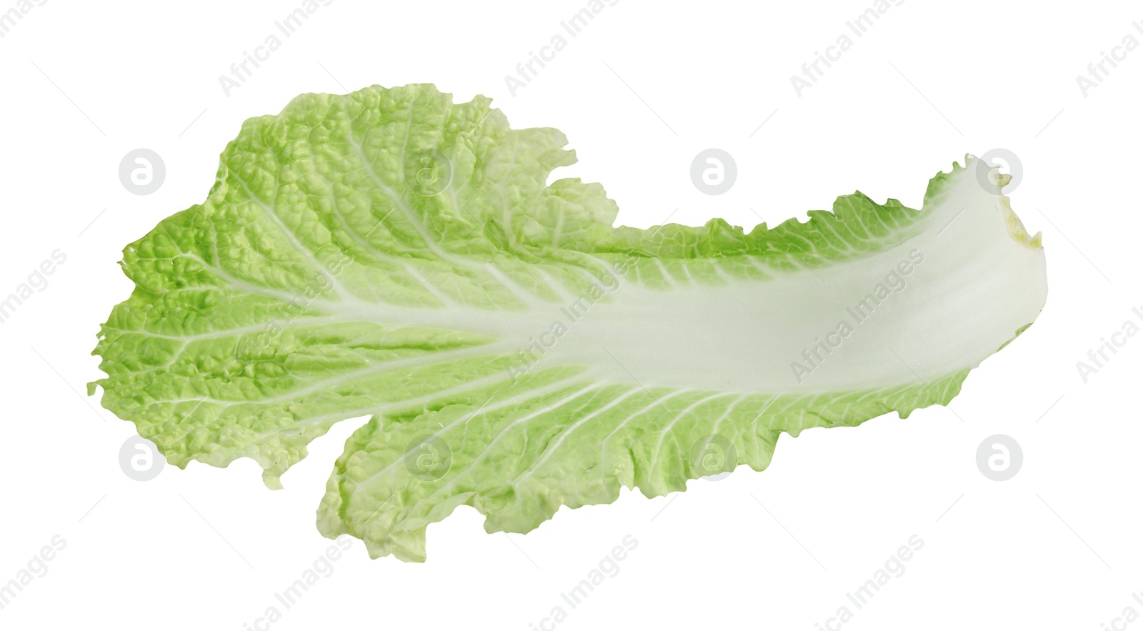 Leaf of fresh Chinese cabbage isolated on white Photo of Leaf of fresh Chinese cabbage isolated on white