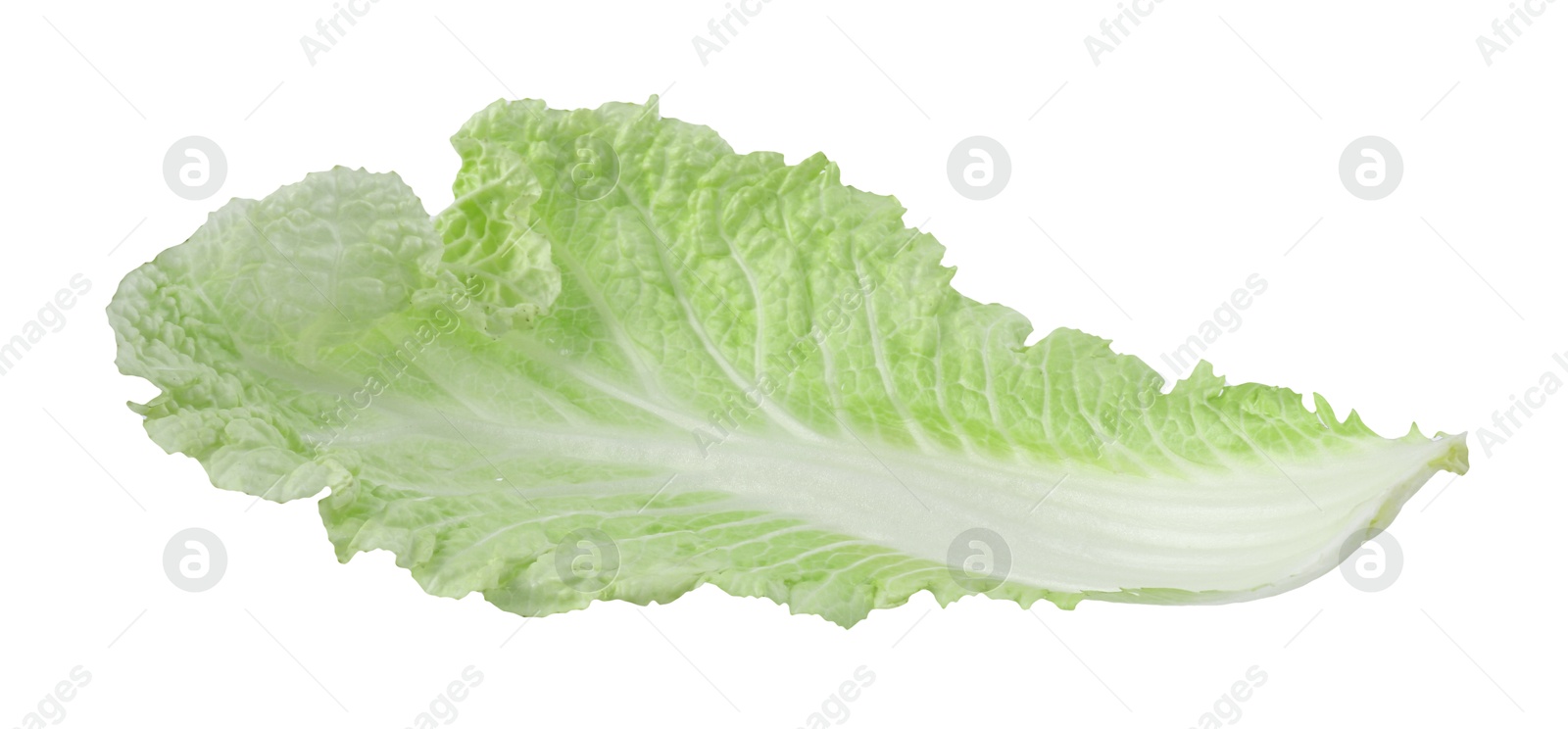Leaf of fresh Chinese cabbage isolated on white Photo of Leaf of fresh Chinese cabbage isolated on white