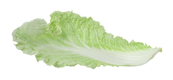 Photo of Leaf of fresh Chinese cabbage isolated on white