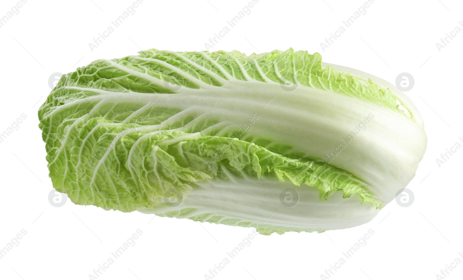 One fresh Chinese cabbage isolated on white Photo of One fresh Chinese cabbage isolated on white