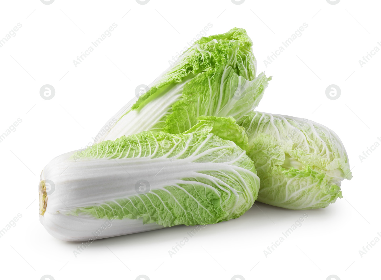 Three fresh Chinese cabbages isolated on white Photo of Three fresh Chinese cabbages isolated on white