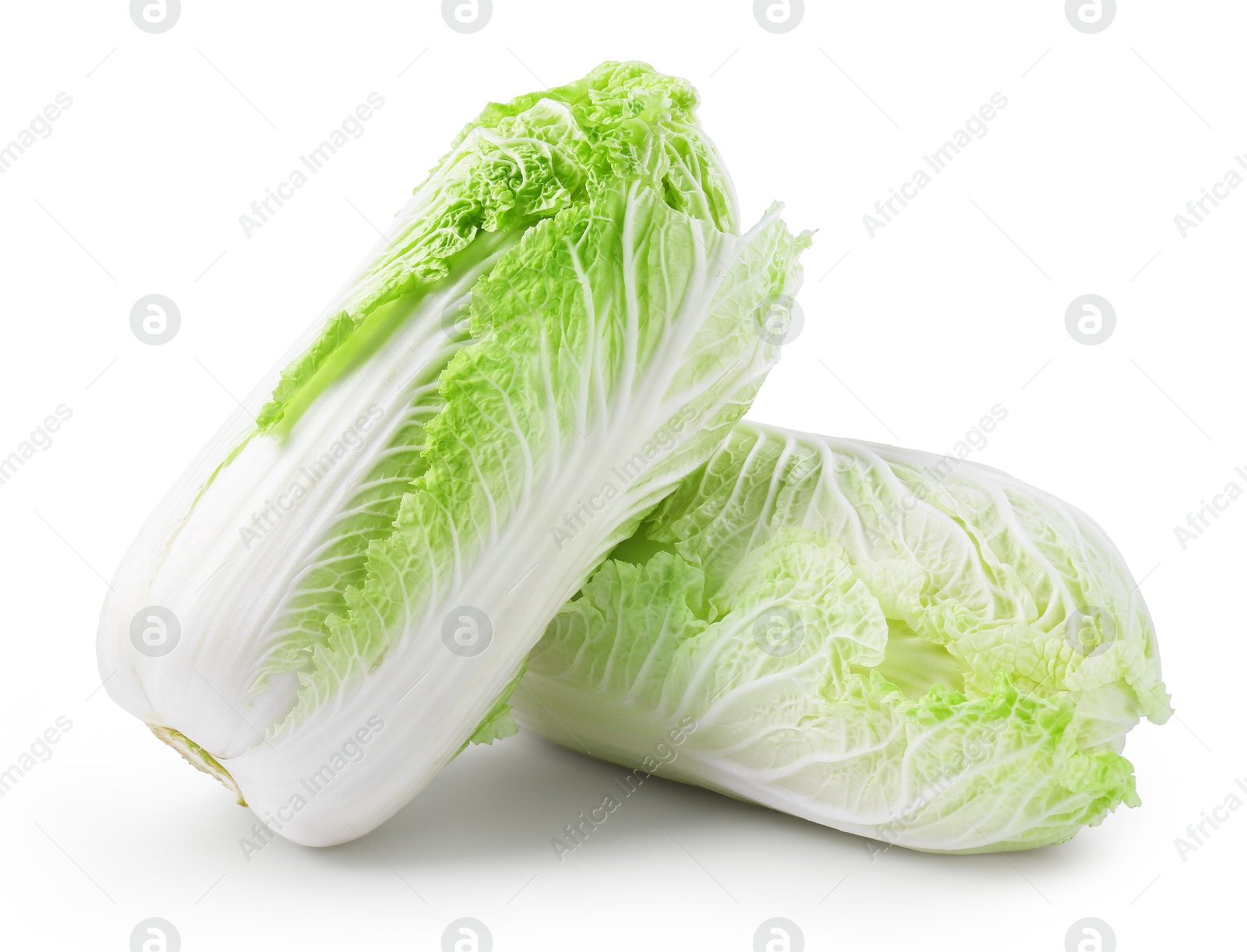 Two fresh Chinese cabbages isolated on white Photo of Two fresh Chinese cabbages isolated on white