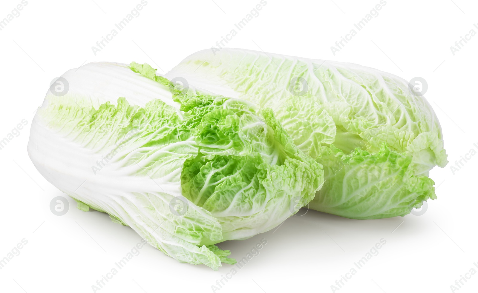 Two fresh Chinese cabbages isolated on white Photo of Two fresh Chinese cabbages isolated on white