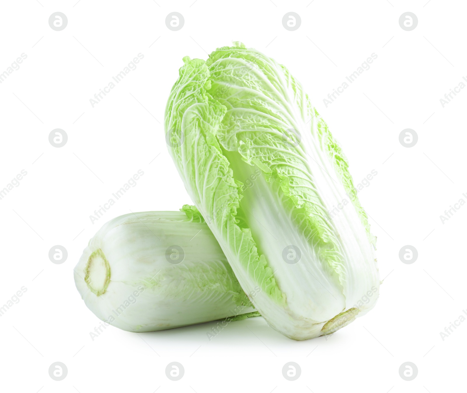 Two fresh Chinese cabbages isolated on white Photo of Two fresh Chinese cabbages isolated on white