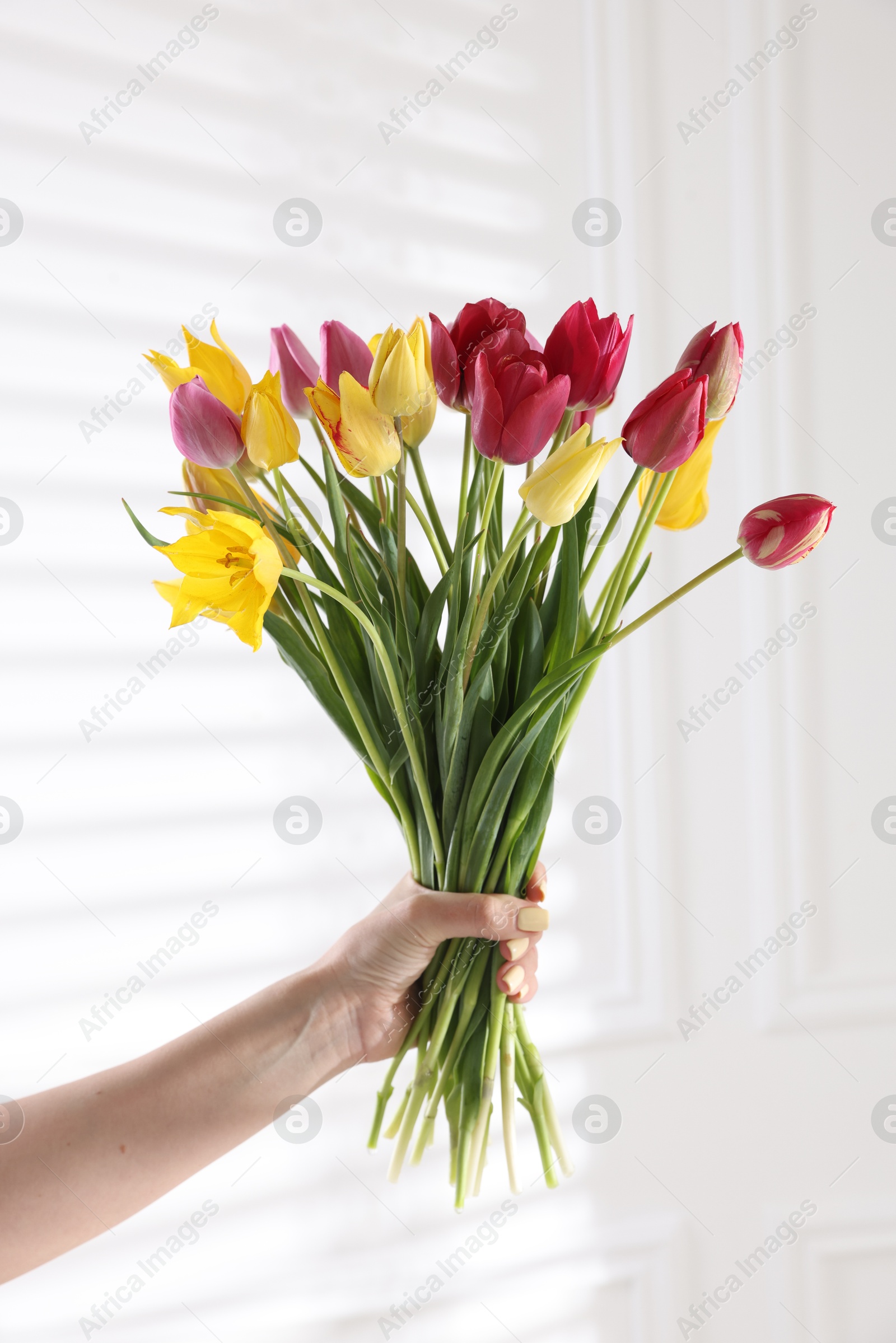 Photo of Woman with bouquet of beautiful tulips near white wall, closeup