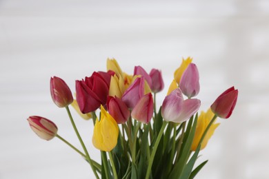 Photo of Beautiful colorful tulips on white background, closeup