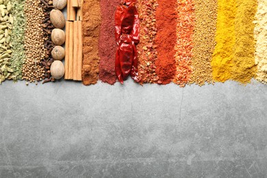 Photo of Many different spices on grey table, flat lay. Space for text
