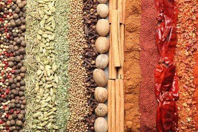 Photo of Many different spices as background, top view