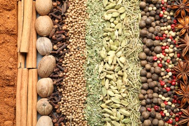 Photo of Many different spices as background, top view