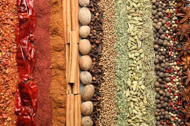 Photo of Many different spices as background, top view