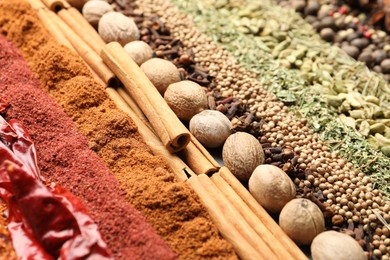 Photo of Many different spices as background, closeup view