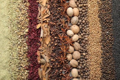 Photo of Many different spices as background, top view