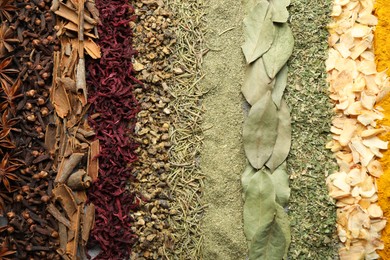 Photo of Many different spices as background, top view