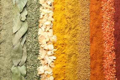 Photo of Many different spices as background, top view