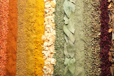 Photo of Many different spices as background, top view