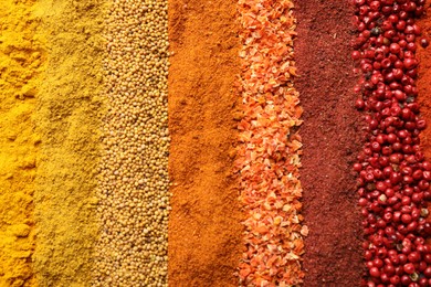 Photo of Many different spices as background, top view
