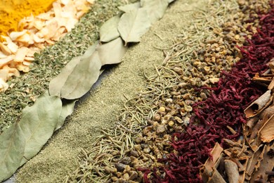 Photo of Many different spices as background, closeup view