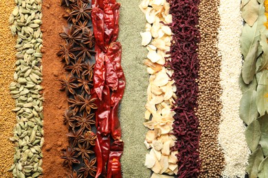 Photo of Many different spices as background, top view