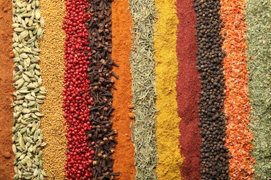 Photo of Many different spices as background, top view