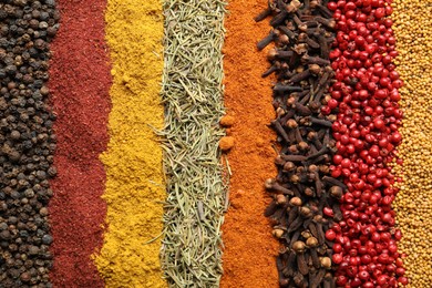 Photo of Many different spices as background, top view