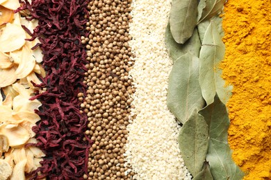 Photo of Many different spices as background, top view
