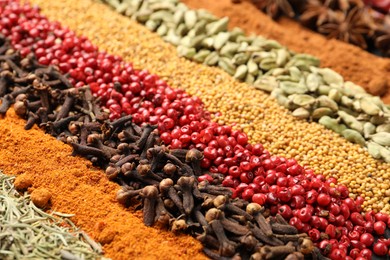 Photo of Many different spices as background, closeup view