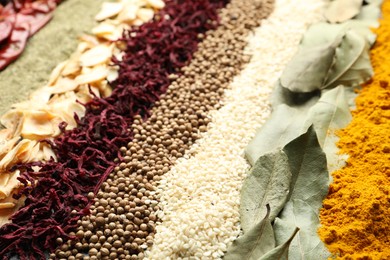 Photo of Many different spices as background, closeup view
