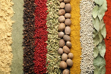 Photo of Many different spices as background, top view