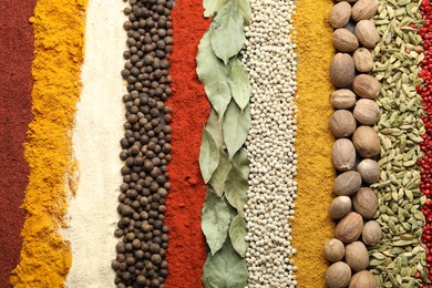 Photo of Many different spices as background, top view